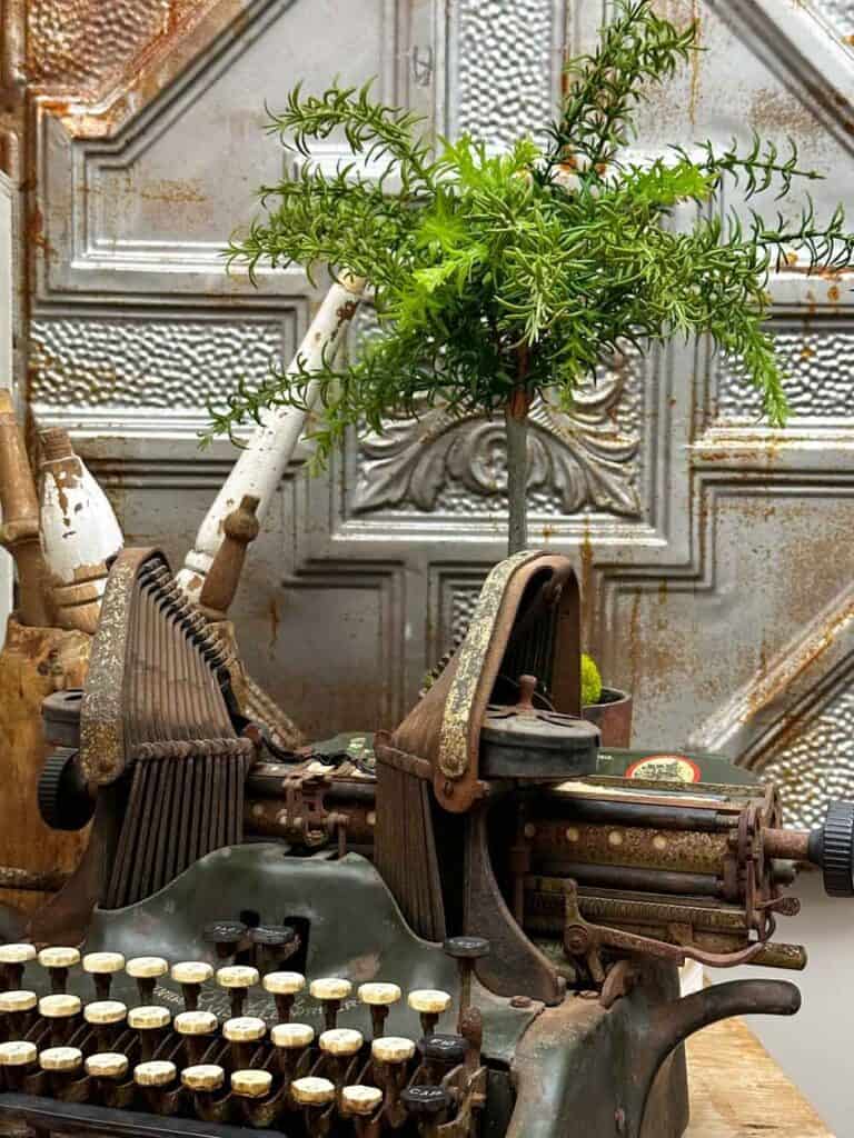 DECORATING VINTAGE GARDEN DECOR INDOORS  - VINTAGE TYPEWRITER WITH A TOPIARY TREE INFRONT OF A METAL PANEL