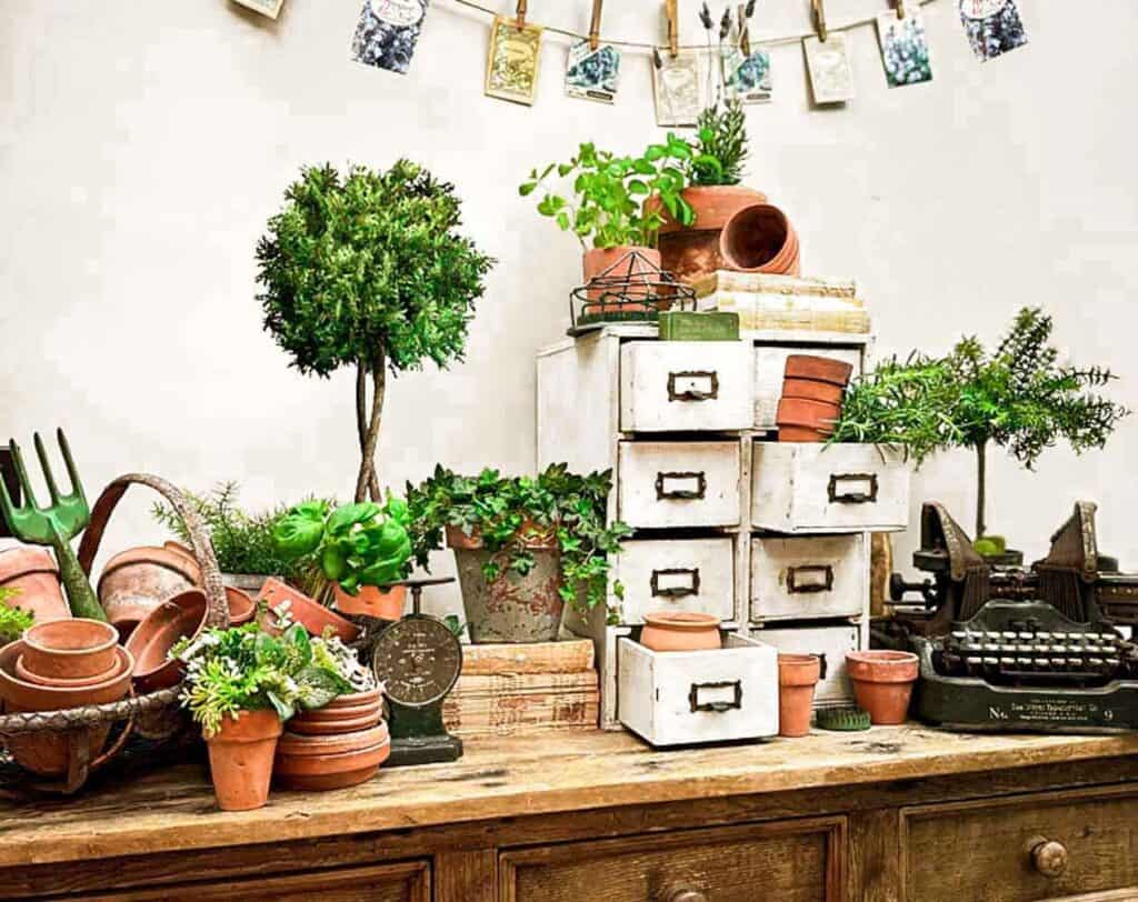 A rustic wooden table displays various potted plants and gardening tools. There are small trees, succulents, terracotta pots, vintage drawers, a typewriter, and a weighing scale. Above, a garland of clipped photos decorates the wall, creating a cozy atmosphere.