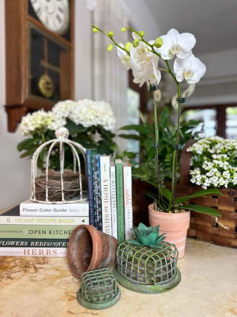 Gardening books, a basket of plants and vintage floral frogs displayed on the kitchen counter and