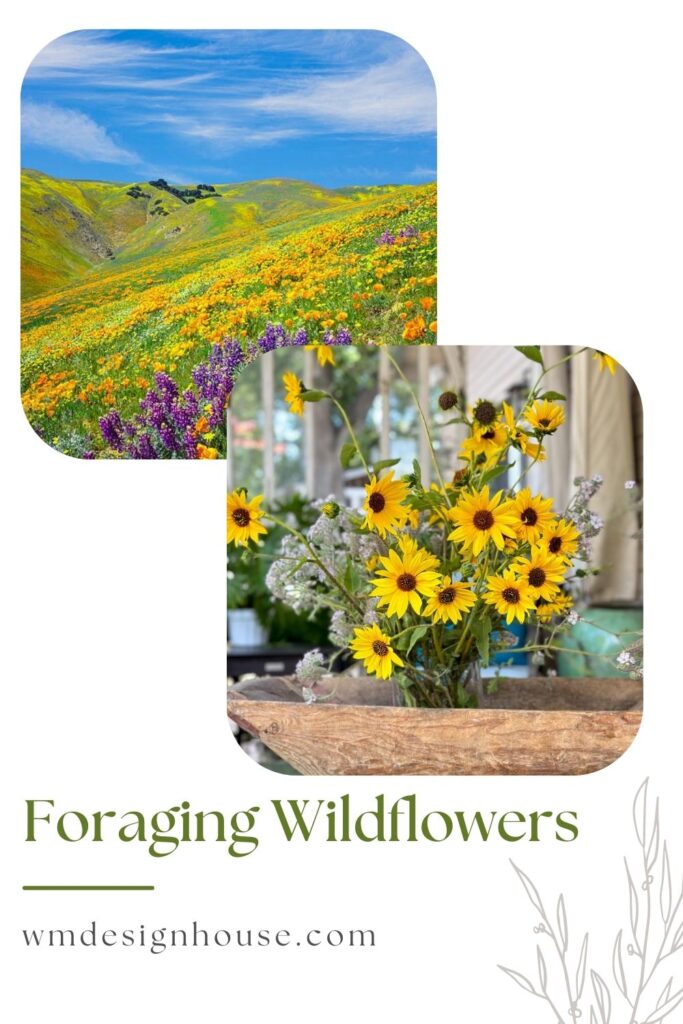 wildflower images in california with an arrangement of wildflowers in bright yellow 