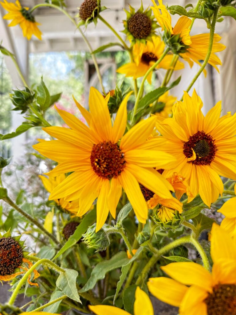 DIY wildflower arrangements small yellow sunflowers in a flower arrangement