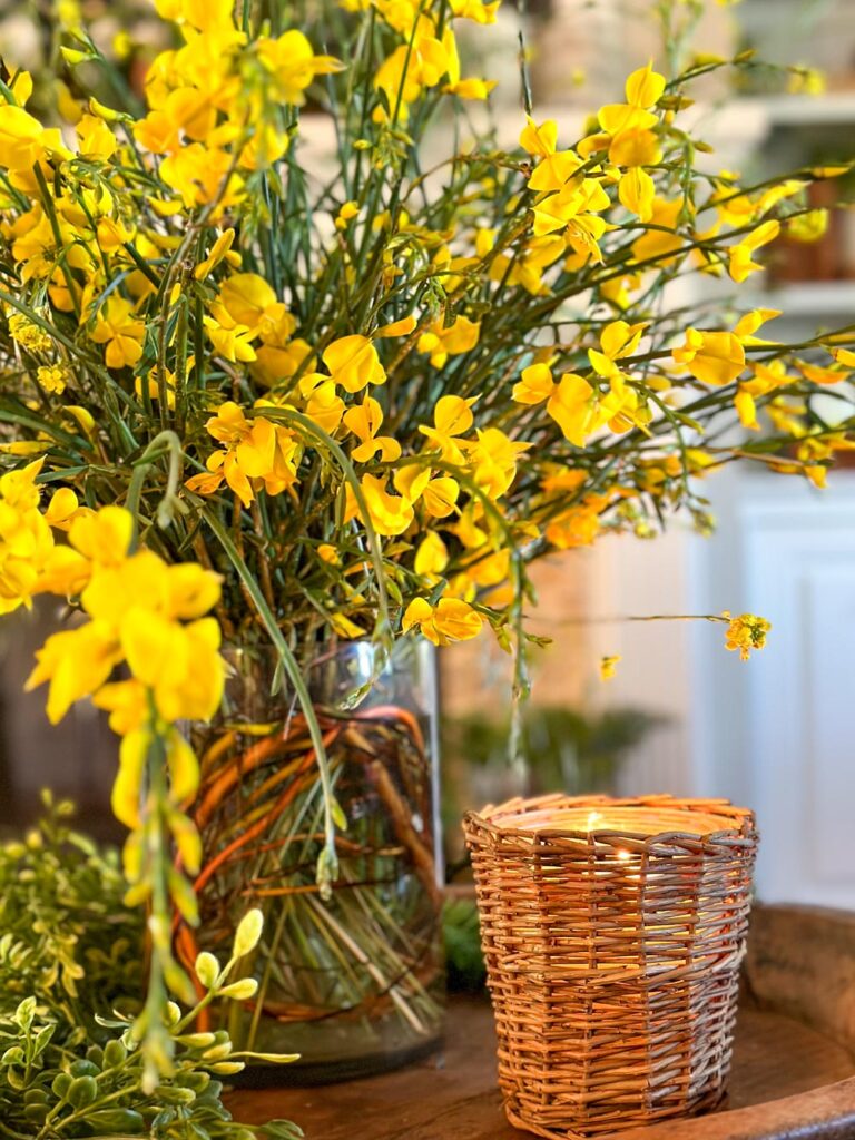 DIY wildflower floral arrangement of Spanish broom in bright yellow