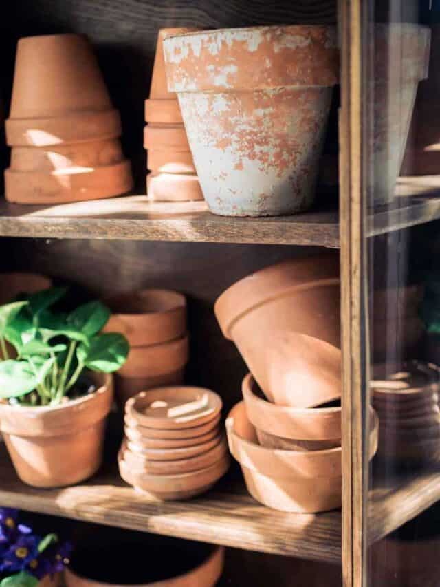 Easy Ways to Age Terracotta Pots and Style Them