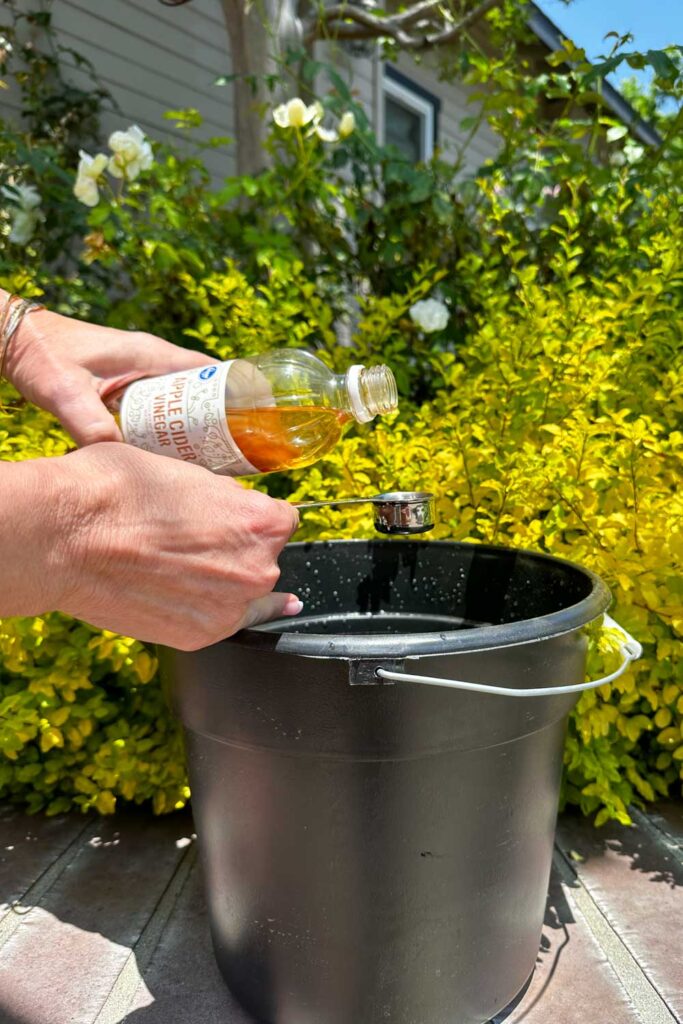 Vinegar and water for  DIY natural fertilizer 