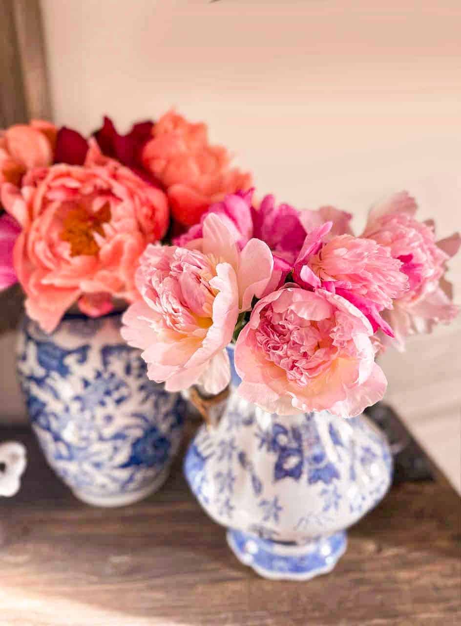 Two blue and white porcelain vases filled with pink and orange peonies are displayed on a wooden surface. The vibrant flowers contrast beautifully with the detailed floral patterns on the vases, creating a lively and elegant scene.