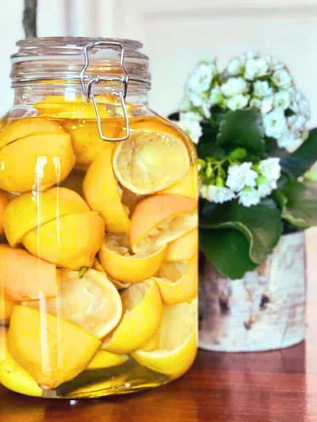 15 ways to use apothecary jars preserving lemons for household cleaner in apothecary jars