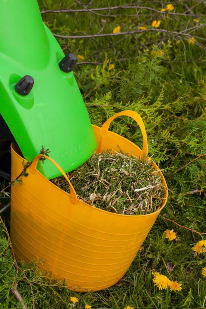 grass clippings as DIY flower fertilizer