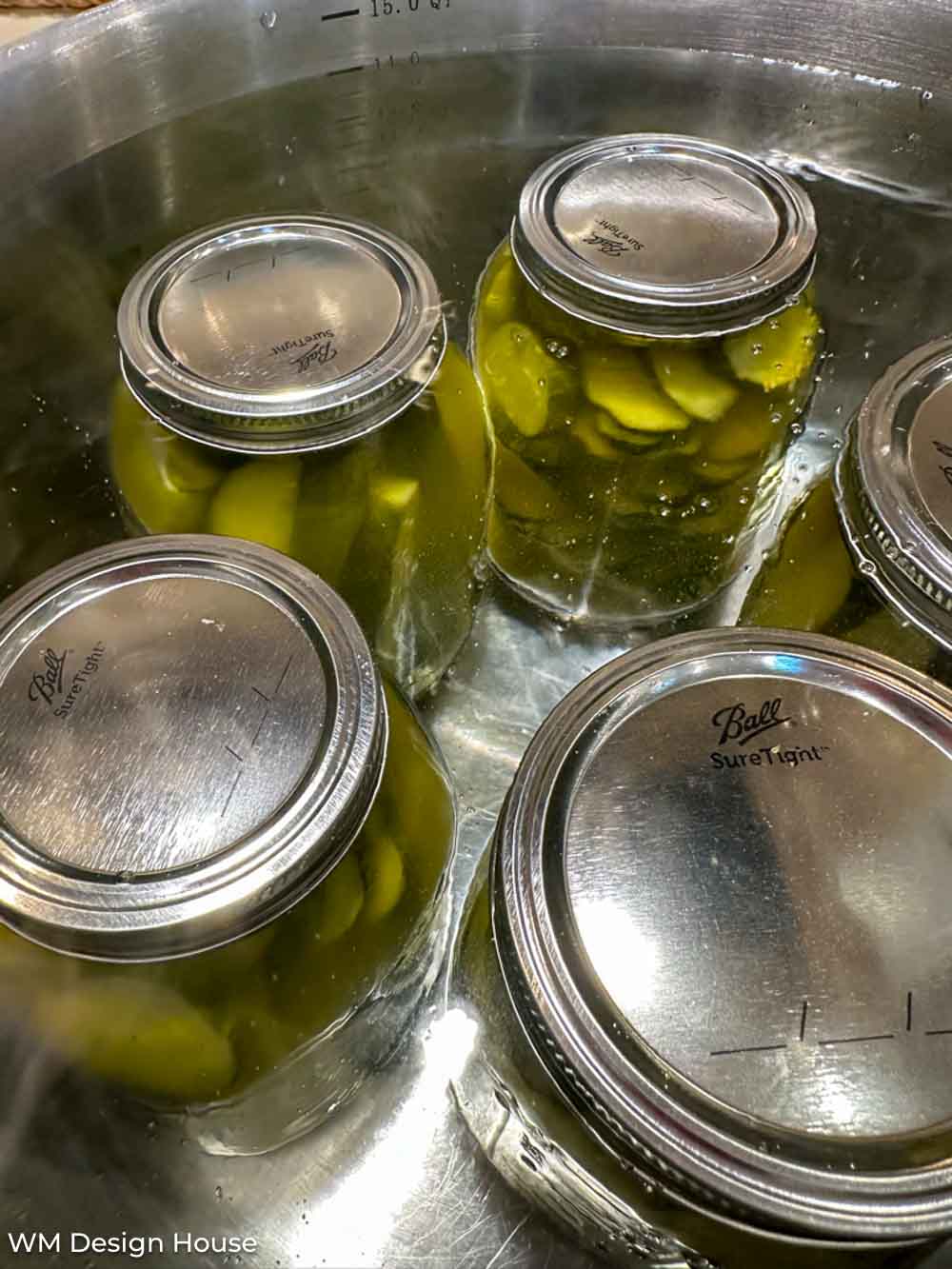 Mrs Wages Dill Pickle Recipe How To Make Quick Pickles