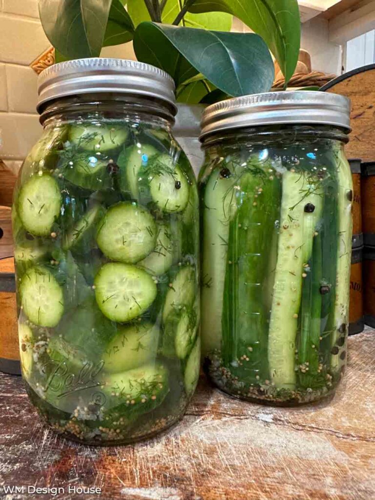 Homemade pickles from scratch - 2 jars filled with yummy sliced garlic pickles 