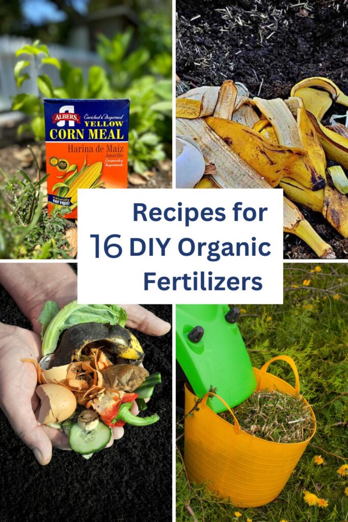 15 DIY Organic fertilizer recipes 