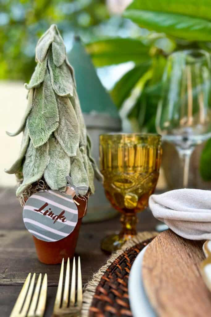 Fresh Lambs ear Christmas tree used as name card place holder on a dinner table 