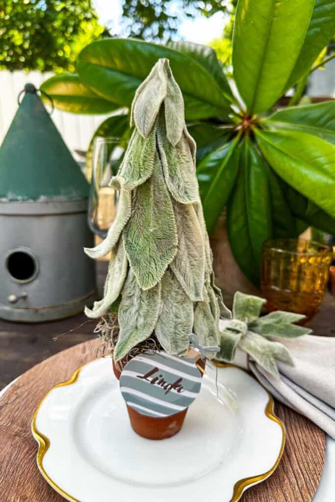 A small christmas tree made out of fresh lambs ear leaves. Used as a placecard holder for Christmas dinner 