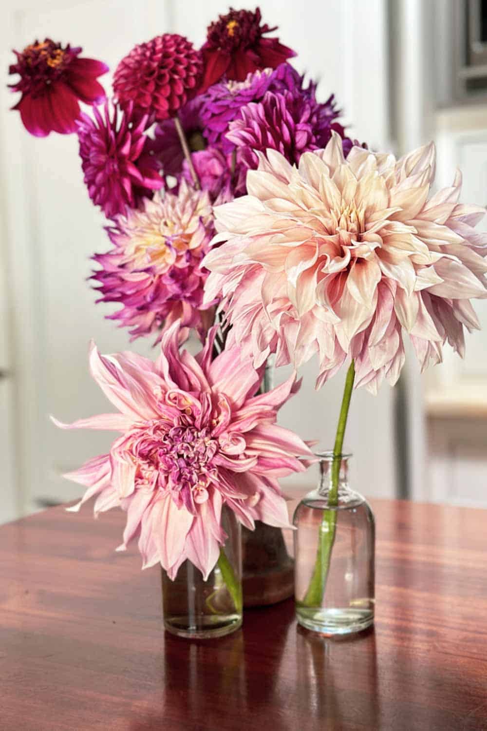 10 Beautiful DIY Dahlia flower Arrangement or bouquet ideas