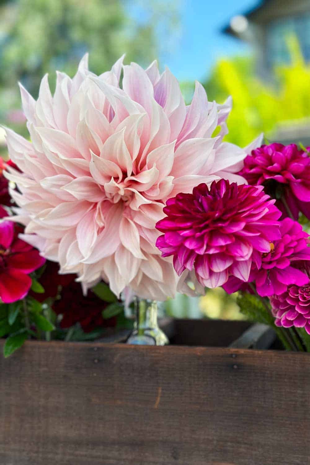 10 Beautiful DIY Dahlia flower Arrangement or bouquet ideas