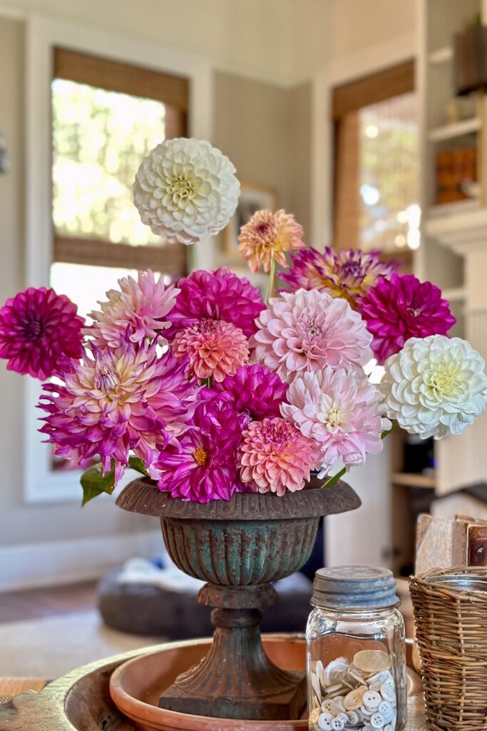 an arrangement of pink, white and purple dahlias 