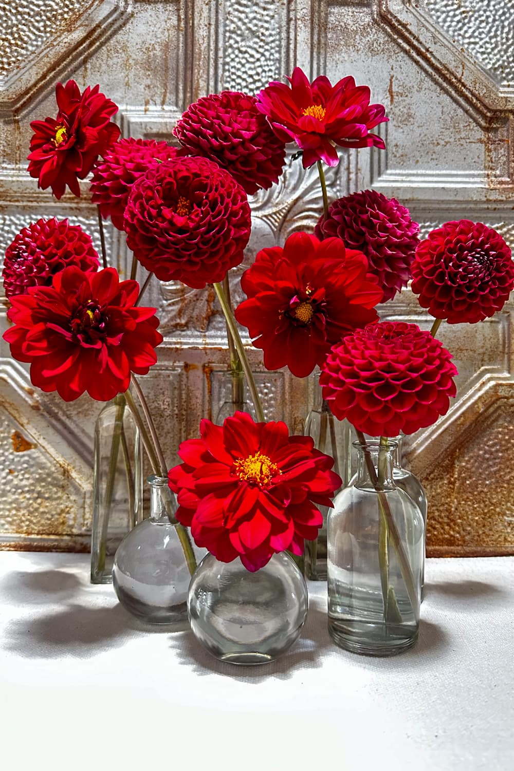 Deadheading Dahlias in Pots Keep Your Blooms Thriving