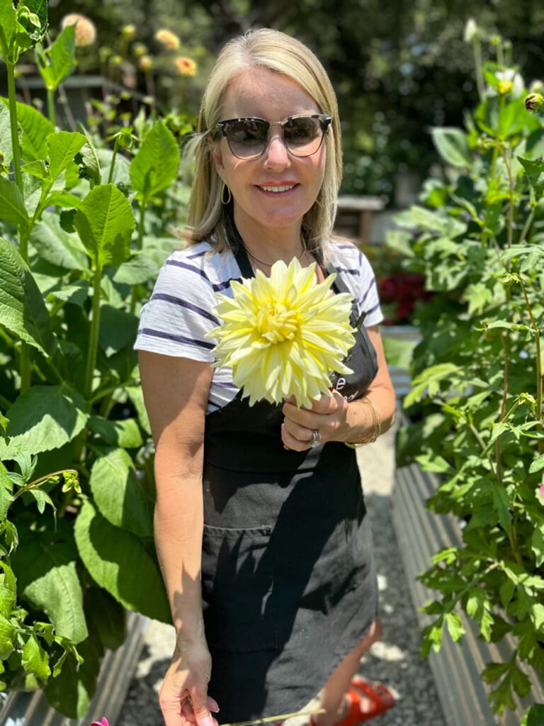 Wendy holding a large dahlia in the garden 