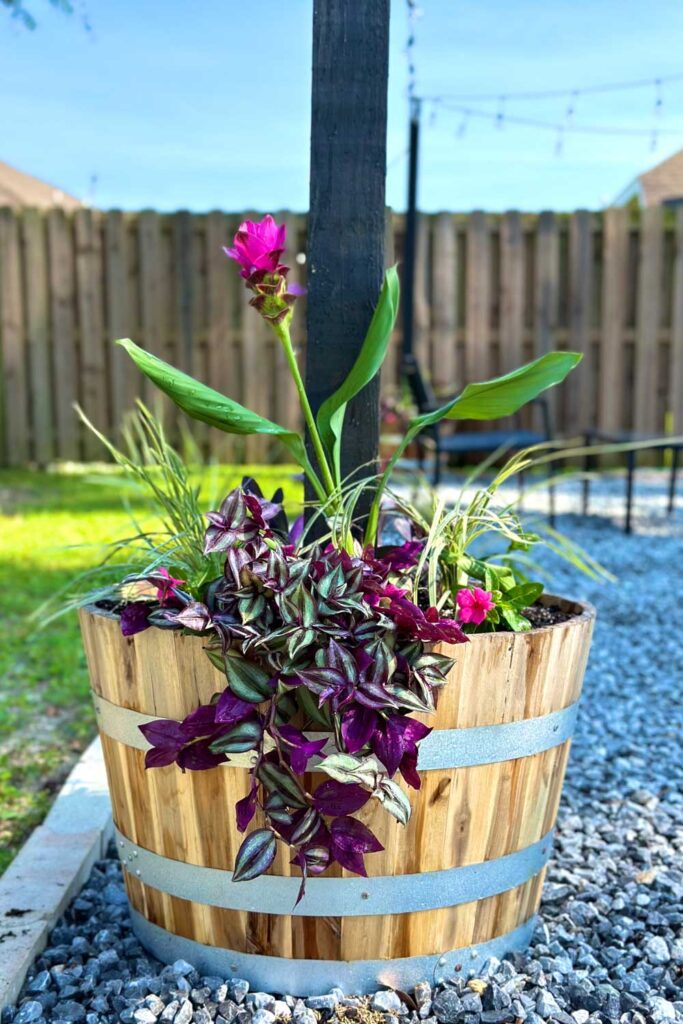 wine barrel planted with flowers sitting on a gravel section of a yard