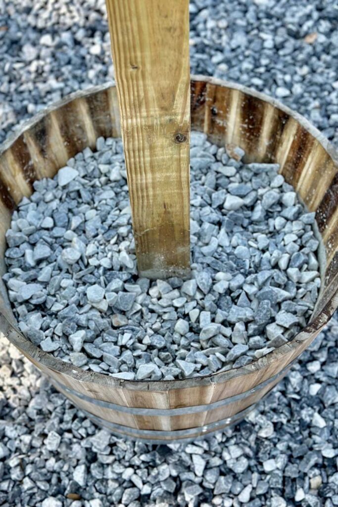 wine barrel with cement and rocks. 
