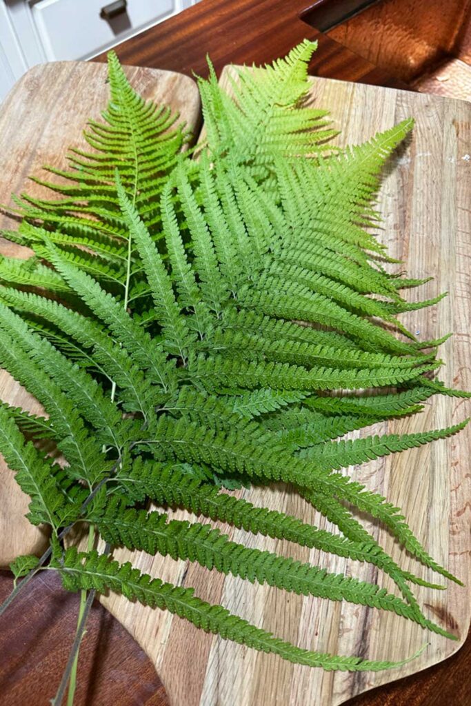 Green fern fronds laying on the counter 