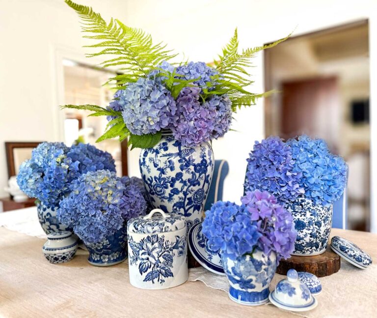 Hydrangeas floral arrangement - blue hydrangeas in chinossier pots on the dining room table filled with blue hydrangieas