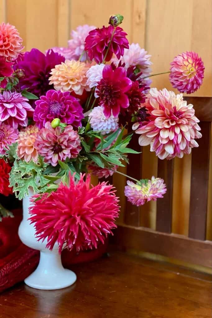 a beautiful mulit colored dahlia flower arrangement