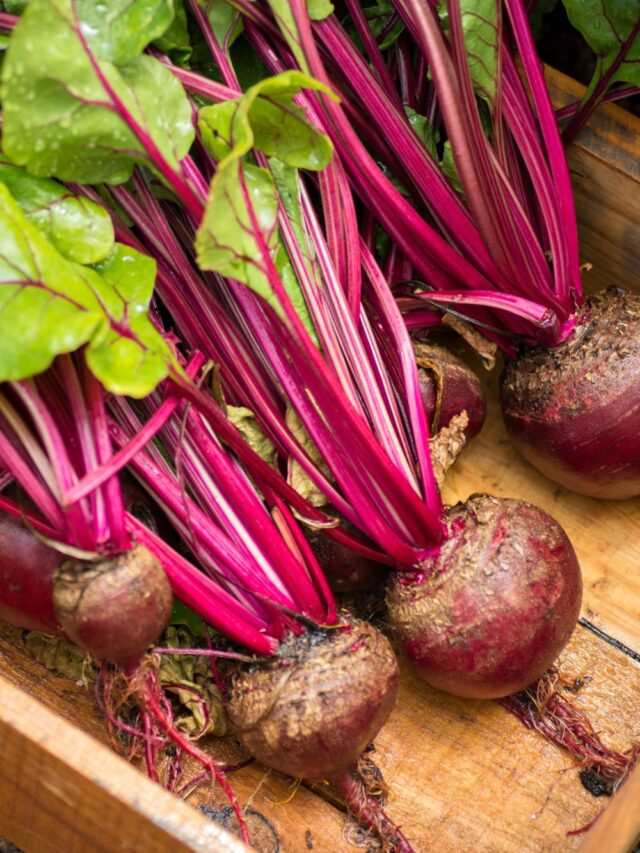 How Long do Roasted Beets Last in Fridge + Best Beet Recipes WM