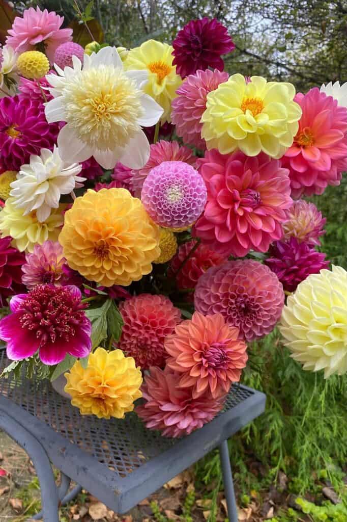 a beautiful mulit colored dahlia flower arrangement