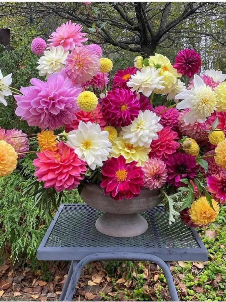 a beautiful mulit colored dahlia flower arrangement 
