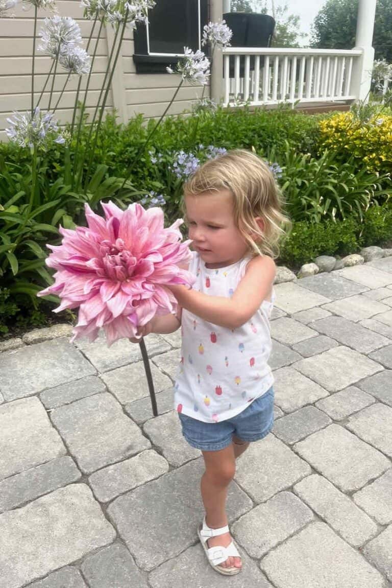 A young girl with blonde hair is standing on a patio, holding a large pink flower. She is wearing a white sleeveless top with a colorful pattern and blue shorts. Behind her is a garden with green plants and purple flowers, and a house with a porch.