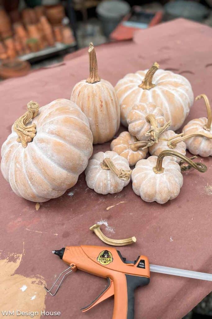 Real pumpkin stems getting glued to fake pumpkins 