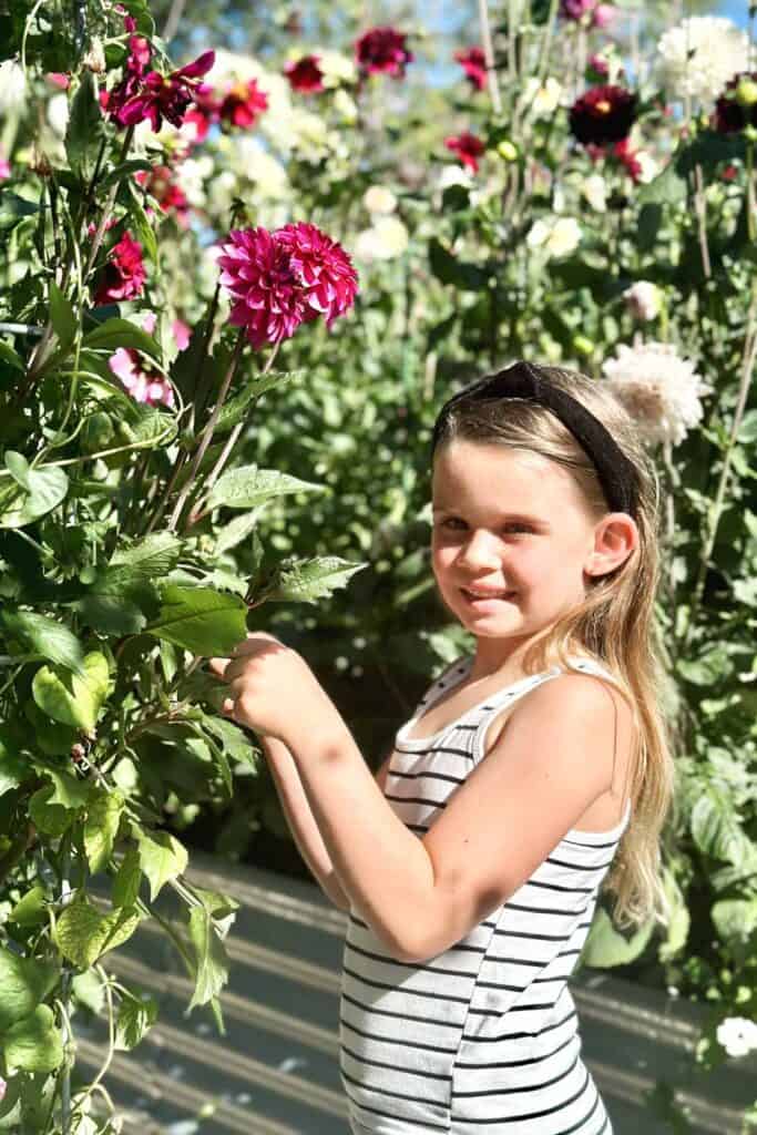 DIY Flower BAr- Little girl cutting flowers in the garden 