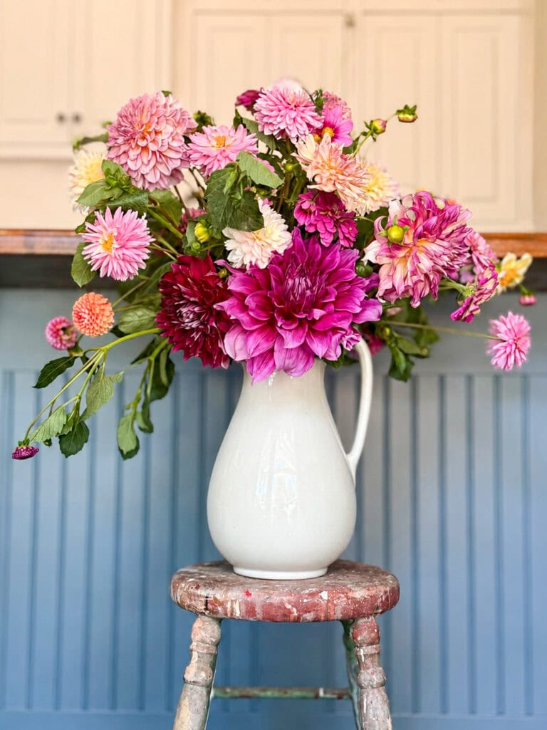 A white ceramic pitcher filled with pink and purple dahlia flower arrangements sits on a weathered wooden stool in front of a blue paneled wall and white cabinets.