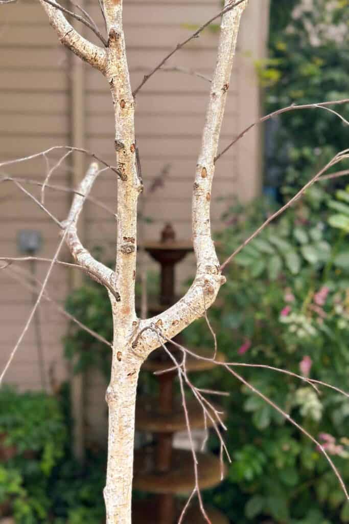 How to Make a Stunning DIY Faux Fall Tree That Looks Real- tree trunk with small bare branches inserted 