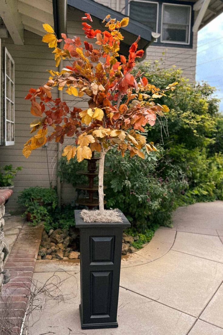 DIY Fall Tree