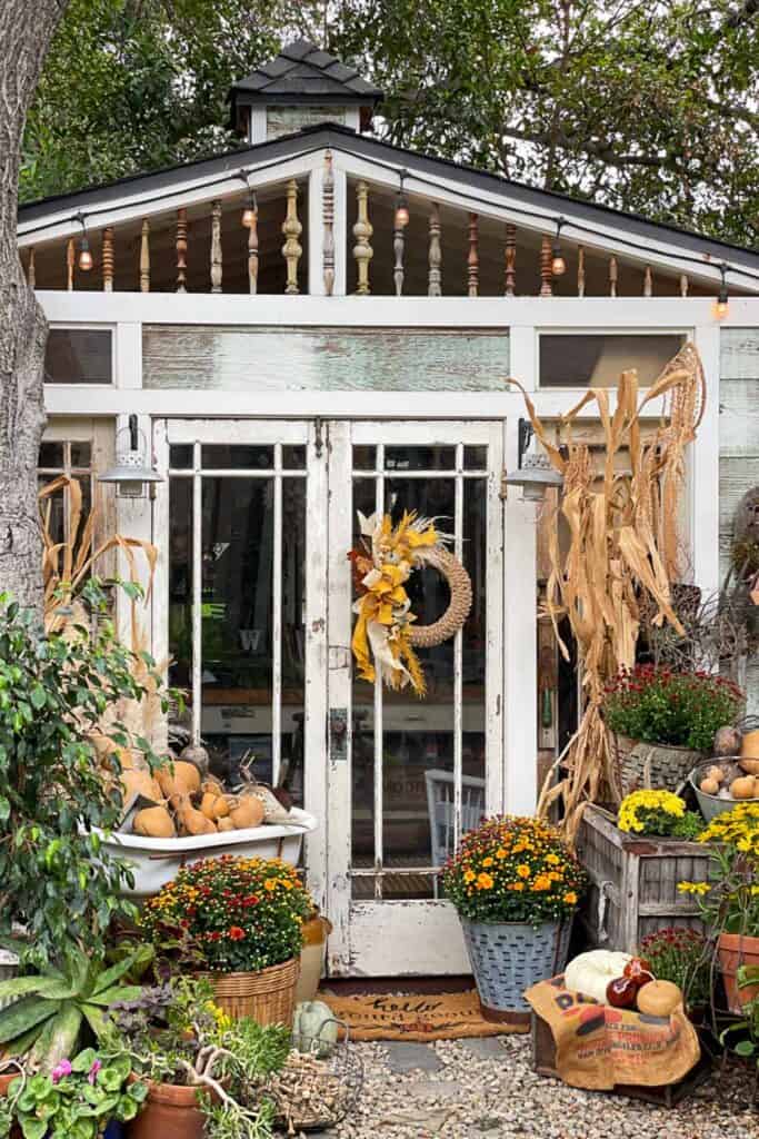 She shed decorated for fall with corn stalks and gourds