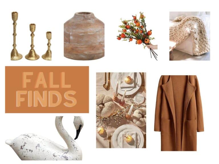 Fall Finds