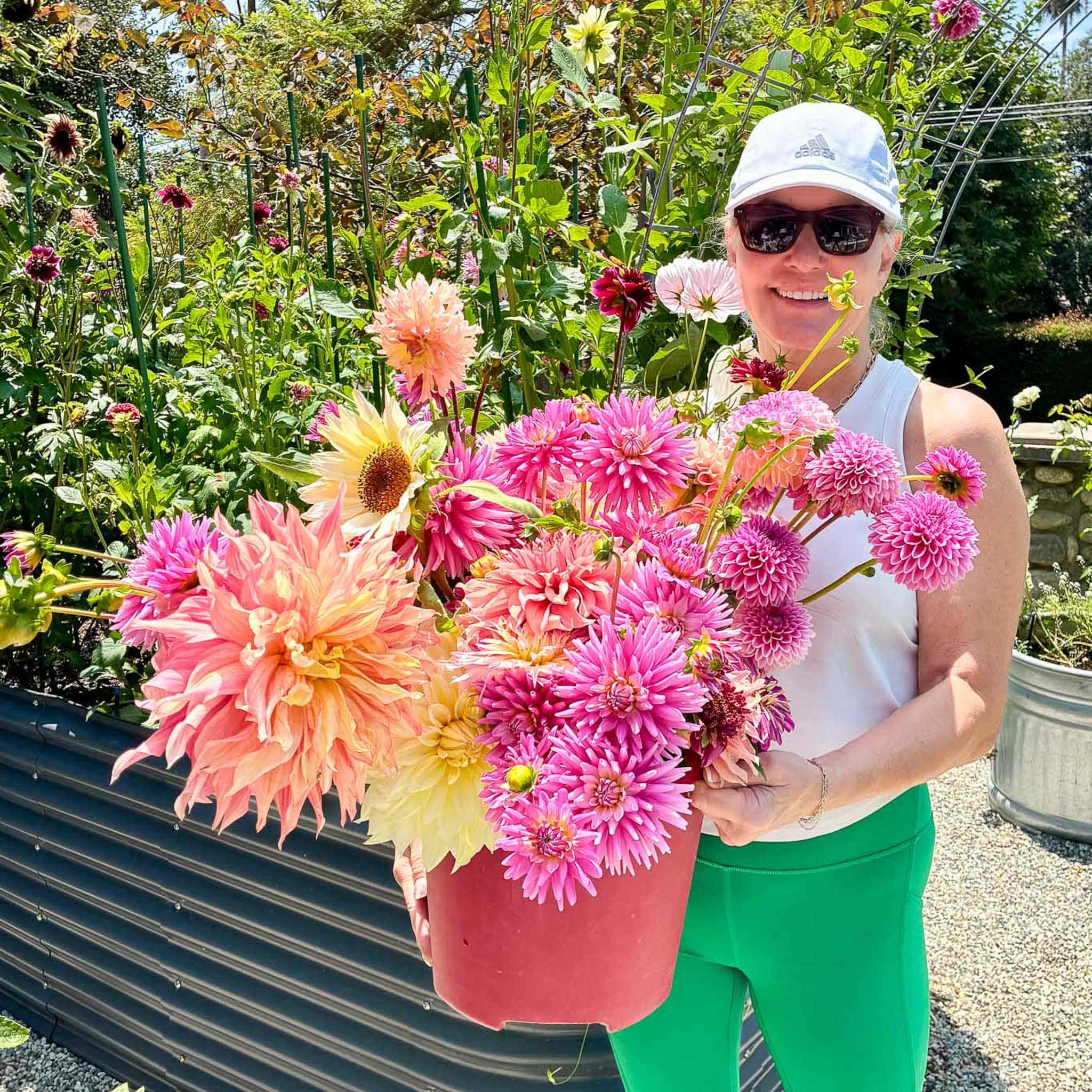 A person in sunglasses and a white cap holds a large red bucket filled with colorful dahlia flower arrangements, standing in a sunlit garden with flowers and greenery in the background.