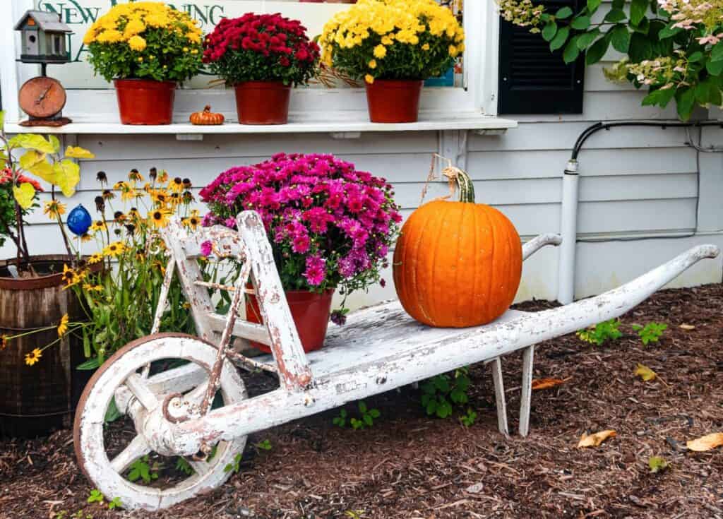 Repurposing an old wheelbarrow as a vessel for fall decor on the porch is a beautiful and budget-friendly idea