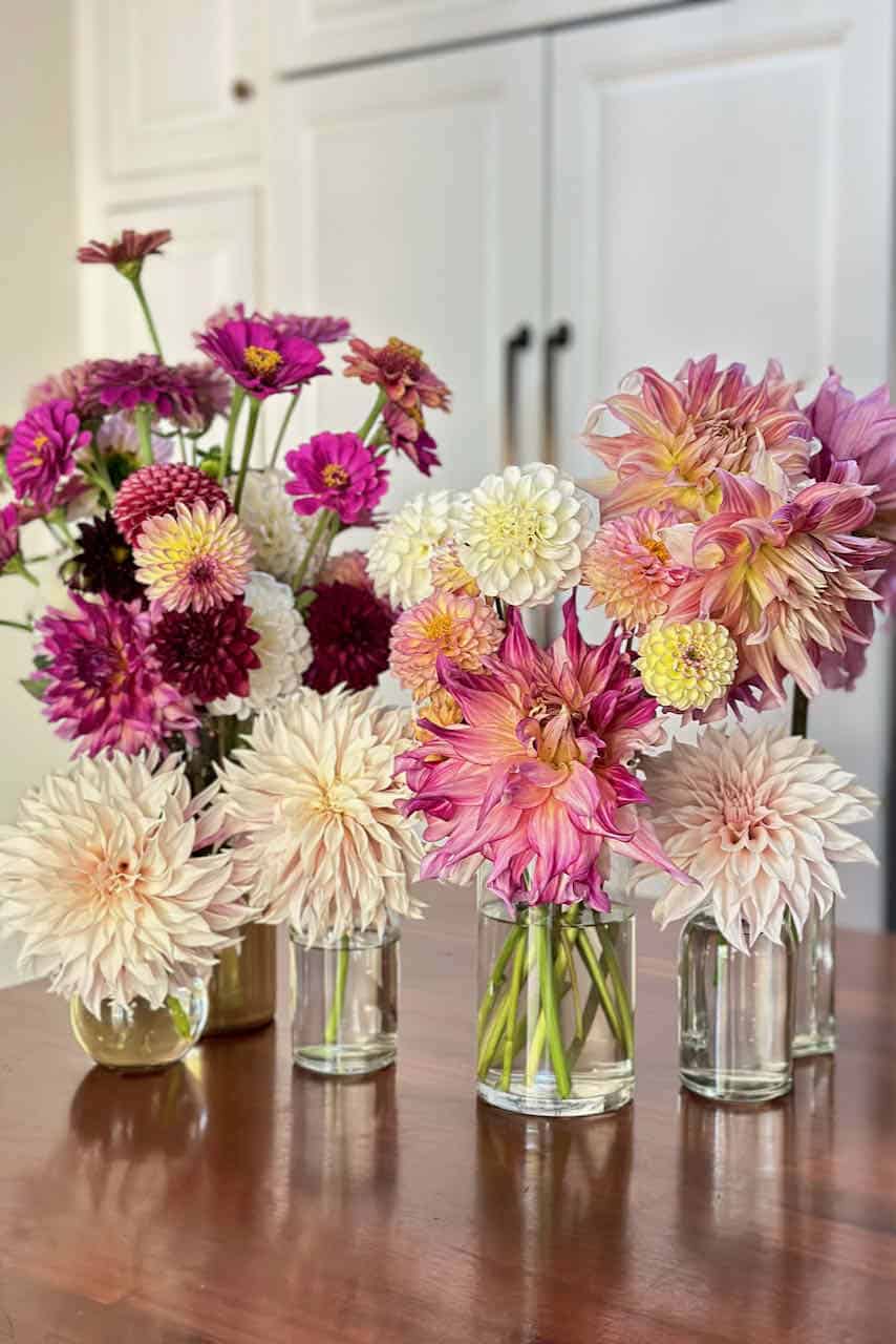 Five glass vases filled with pink, white, and purple dahlia flower arrangements and zinnias are arranged on a wooden table in front of white cabinets.
