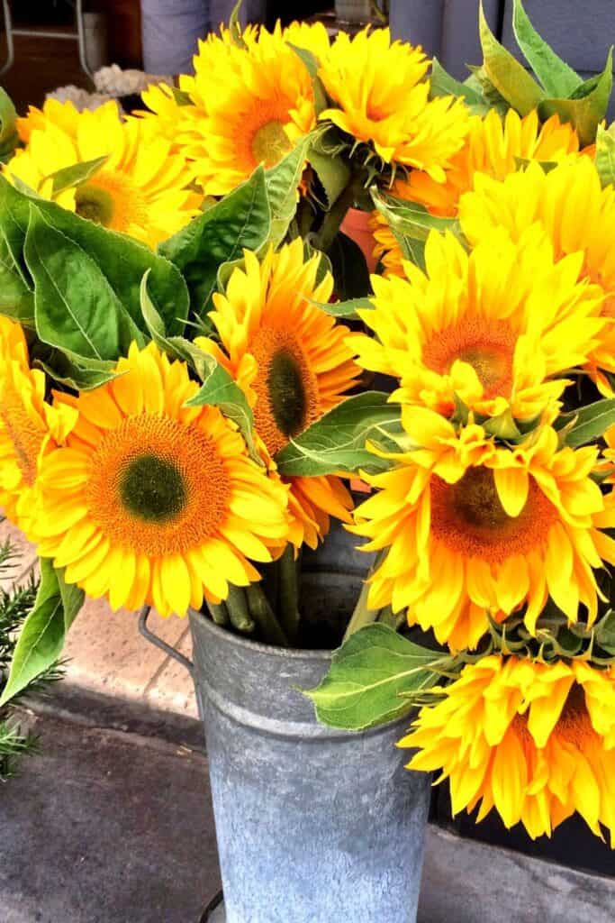 How to Create an Easy DIY Flower Bar for Any Occasion
- bucket of sunflowers