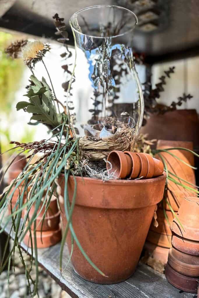 Hurricane glass vase sitting on top of a red clay pot. The glass is filled with abirds nest and a sweet bird, Dried Eucalyptus and other pods fill the arrangement.