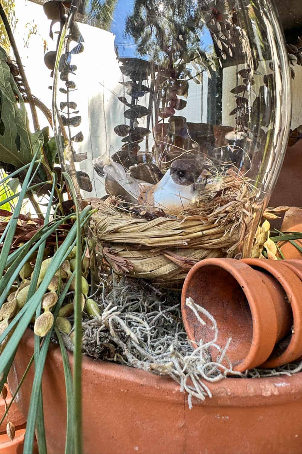 Up close of a birds nest sitting inside of a glass hurricane vase.