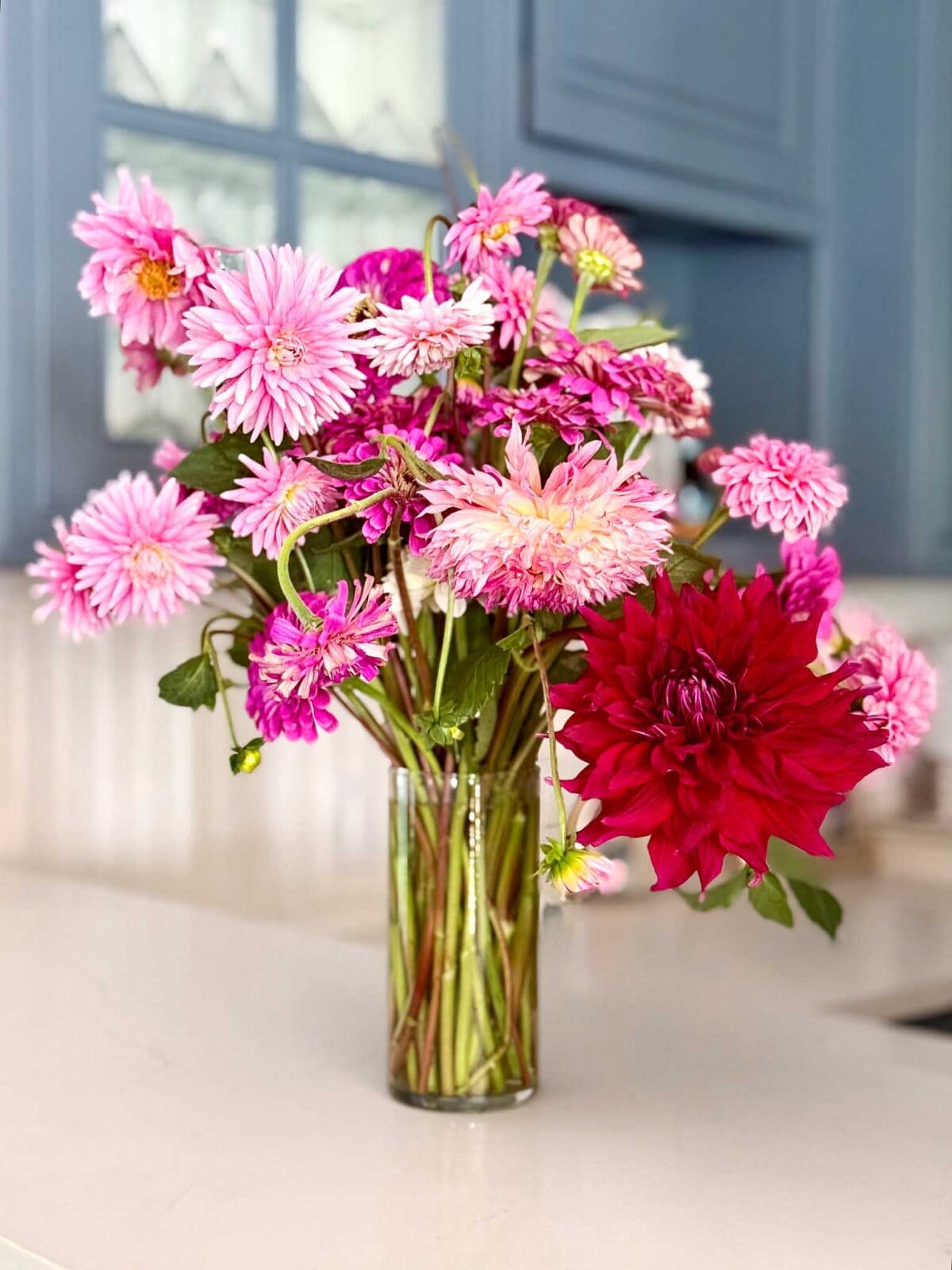 A clear glass vase filled with pink and red dahlia flower arrangements sits on a white countertop in a kitchen with blue cabinets in the background.