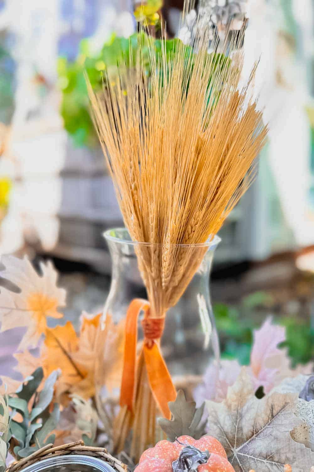 Bundle of wheat tied with a velvet ribbon and placed in a glass hurricane vase.