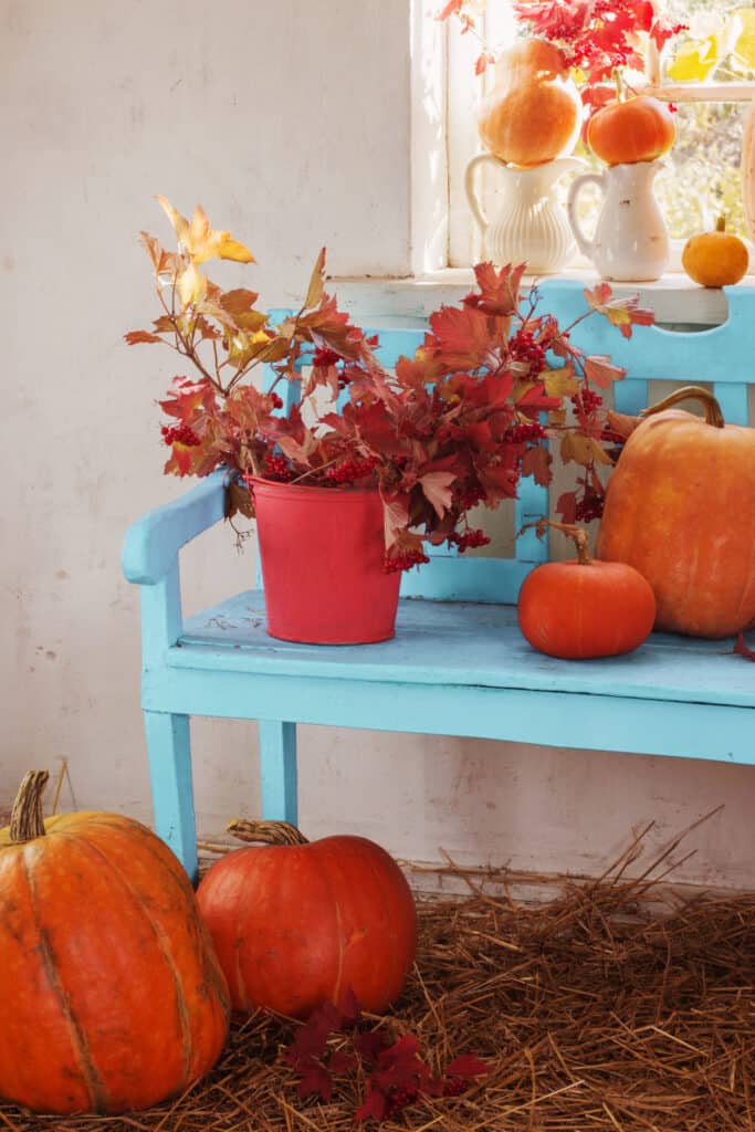 35 ideas for a budget friendly fall porch. an old thrift store bench with pumpkins and leaves 