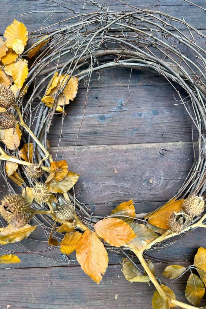 The first step of making the foraged wreath is adding the leaves and thistles to the grapevine wreath.
