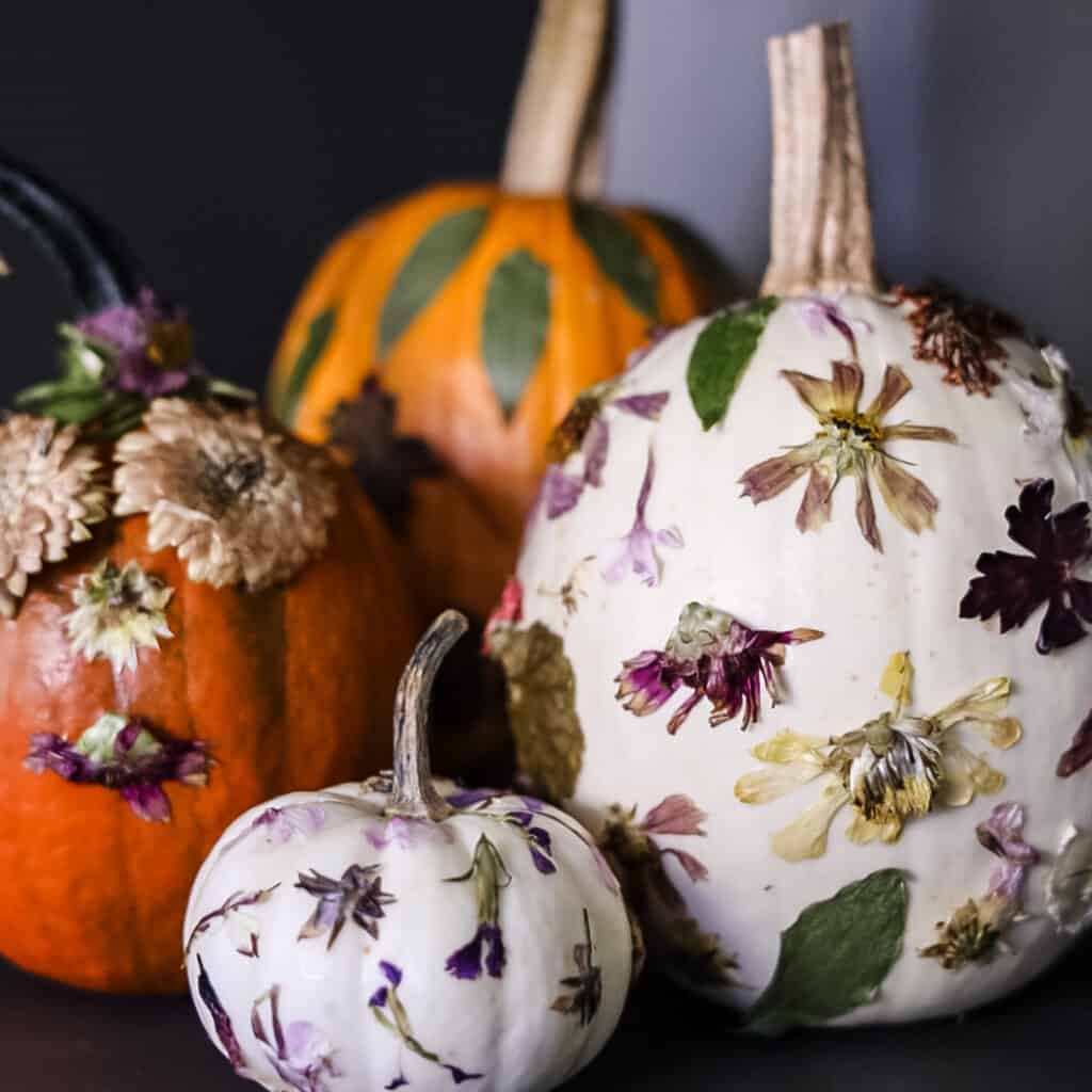 Dried flowers on real pumpkins 