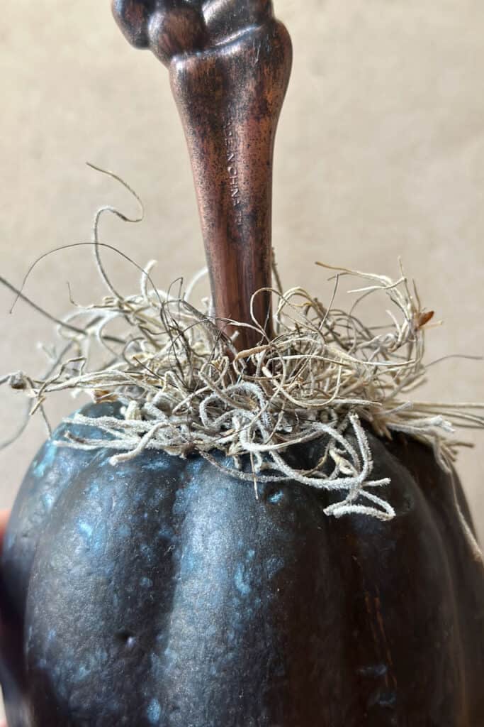 Image of the pumpkin with the bone of the hand skeleton inserted and a small amount of Spanish moss placed around the edge. 
