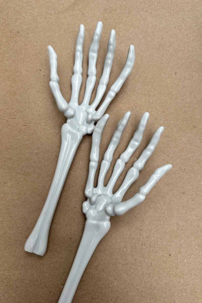 Close up of skeleton hands.